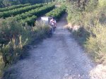 Imagen037.jpg