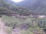 Imagen068.jpg