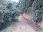 Imagen074.jpg
