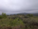Imagen080.jpg