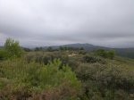 Imagen081.jpg