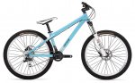 bike-1100absolut-1.jpg