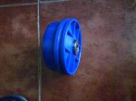 DSC00339.jpg