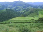 DSC01077.jpg