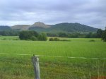 DSC01110.jpg