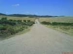 DSC01236.jpg