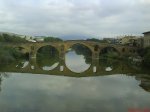 DSC01196.jpg