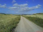 DSC01297.jpg