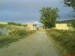 DSC01380.jpg