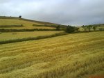 DSC01383.jpg