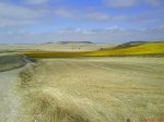 DSC01400.jpg
