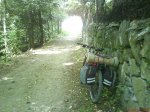 DSC01542.jpg