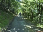DSC01093.jpg