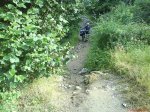 DSC01115.jpg