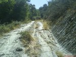 DSC01501.jpg