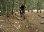 DSCN2106.jpg