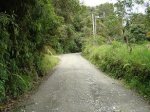 bici 101.JPG