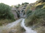rambla 1.jpg