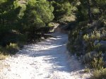 pista 3.jpg