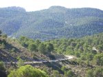 pista 5.jpg