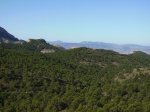 vista o.jpg