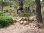 carrito 019.jpg