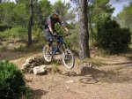 carrito 022.jpg