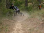 carrito 027.jpg
