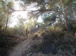 DSC08715.jpg