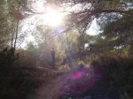 DSC08716.jpg