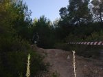 DSC09968.jpg