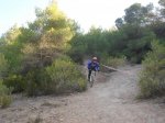 DSC09969.jpg
