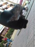 Imagen008.jpg
