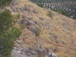 100_8264.JPG