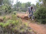 carrito 016.jpg