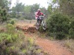 carrito 018.jpg