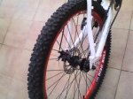 Foto0031.jpg
