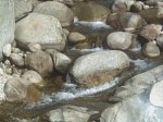 PICT0025.JPG
