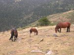 DSCN3078.jpg