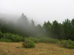DSCN3092.jpg
