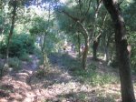 20080907_0101.JPG