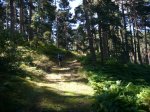 Foto15.JPG
