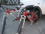 IMG_5974.jpg