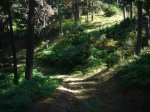 DSC06320.JPG