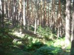 DSC06325.JPG