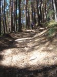 DSC06332.JPG