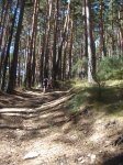 DSC06333.JPG