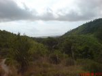 DSC01004.JPG