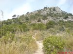 DSC01002.JPG