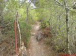 DSC00988.JPG